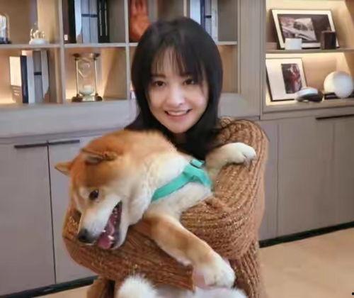 张恒爆料狗狗视频大全,狗狗视频大全,萌宠瞬间集结 第3张 张恒爆料狗狗视频大全,狗狗视频大全,萌宠瞬间集结 第3张