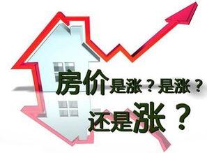 哈市房产爆料最新消息新闻,揭秘价格波动与政策影响 第1张 哈市房产爆料最新消息新闻,揭秘价格波动与政策影响 第1张
