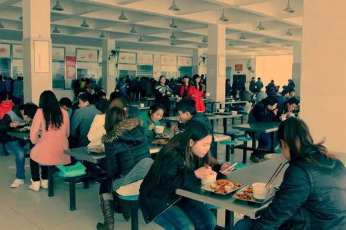 中学食堂爆料视频大全下载,爆料视频大全背后的真实饮食现状  第1张